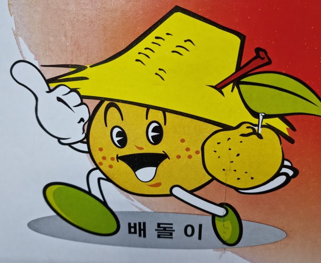 국내산 착즙으로 만든 생강 도라지 배즙 110mgx100개 기관지 목 기침 가래 감기예방