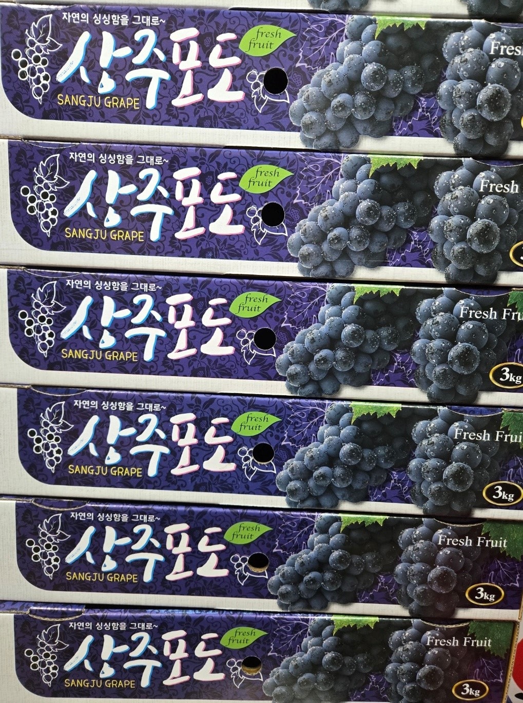통째로 갈아만든 진짜 머루포도즙 110mg x 100포