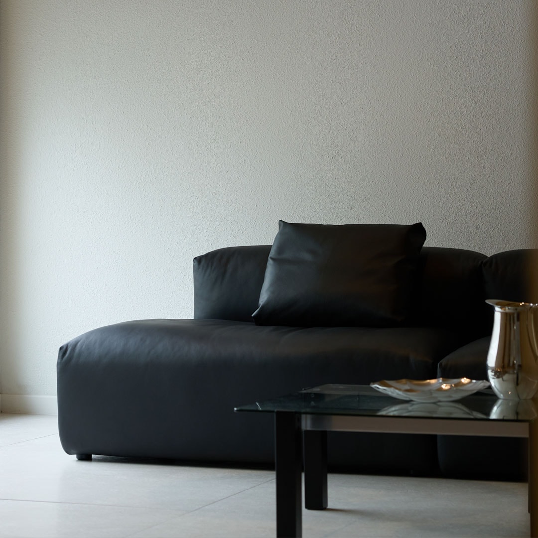 NO5. Soft Goose 2200 Lounge Sofa(Leather)