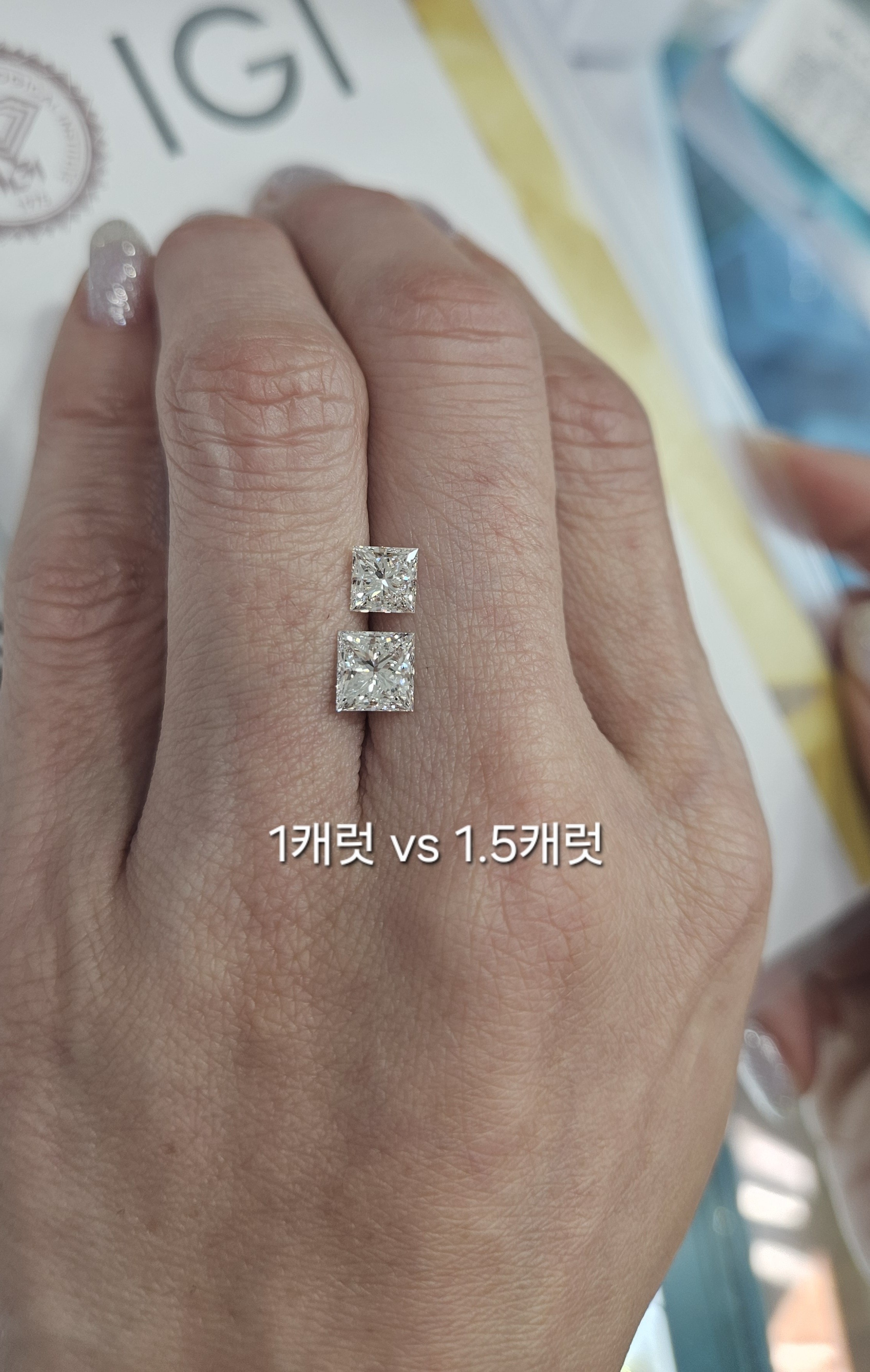 프린세스컷 귀걸이
