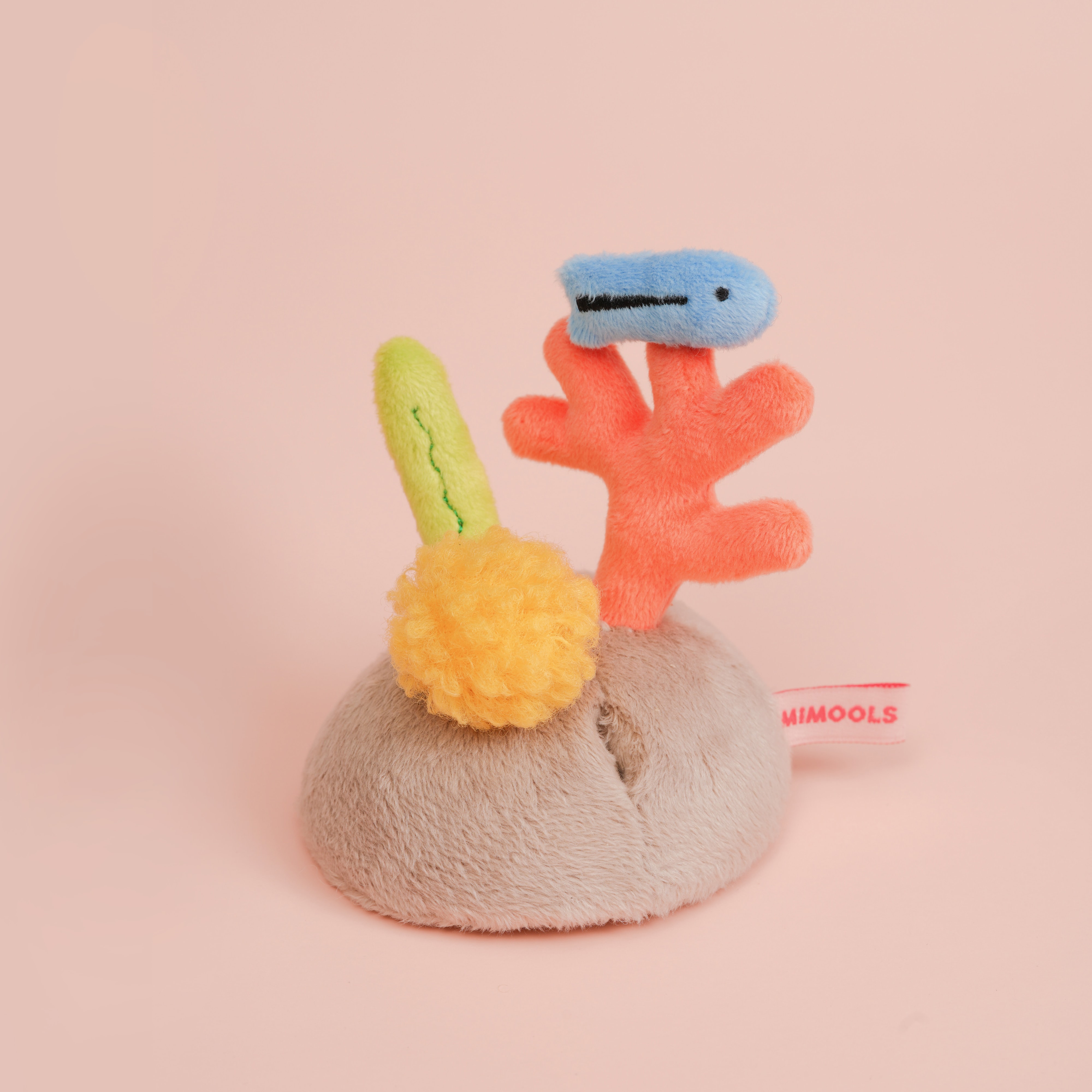 산호동산과 청소놀래기