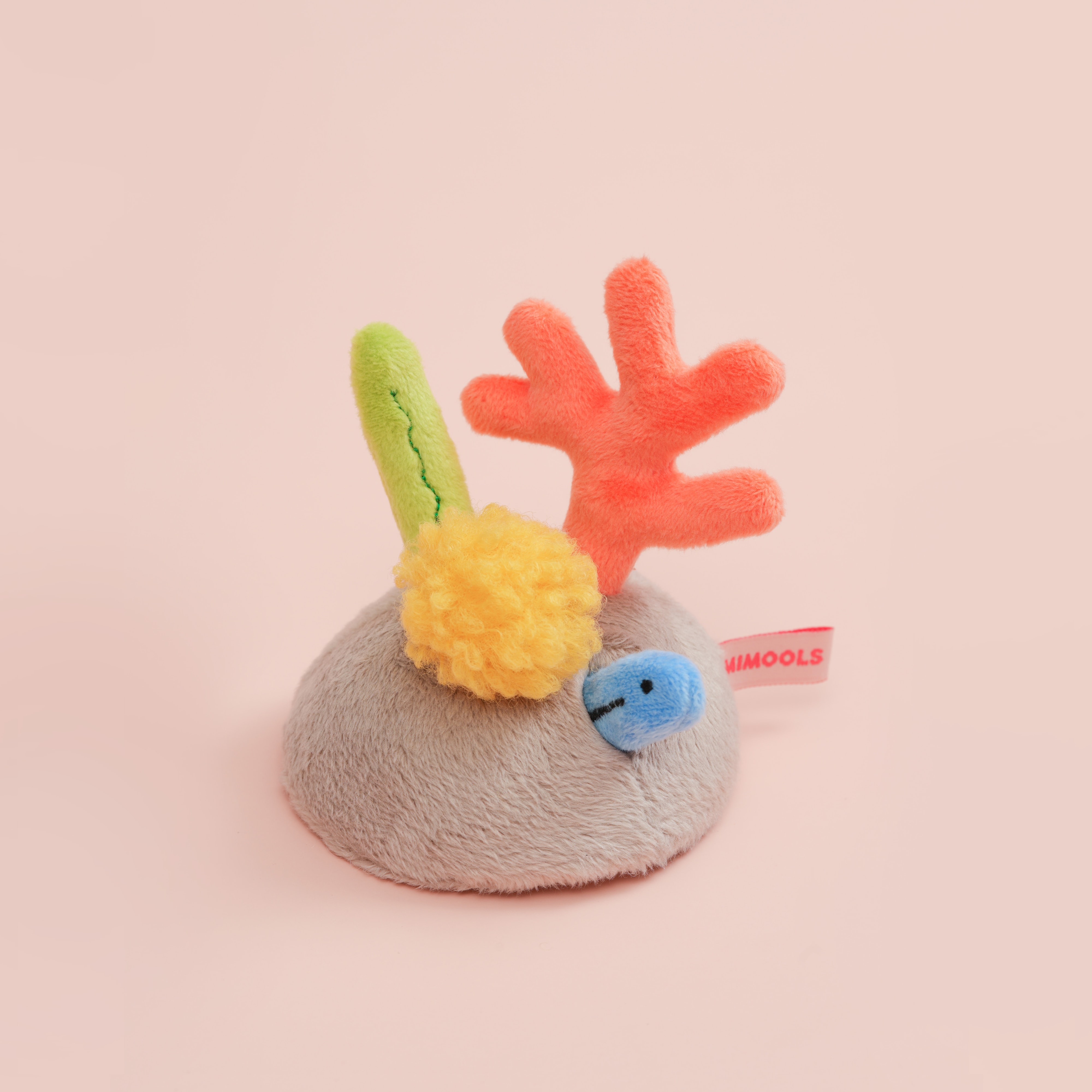 산호동산과 청소놀래기