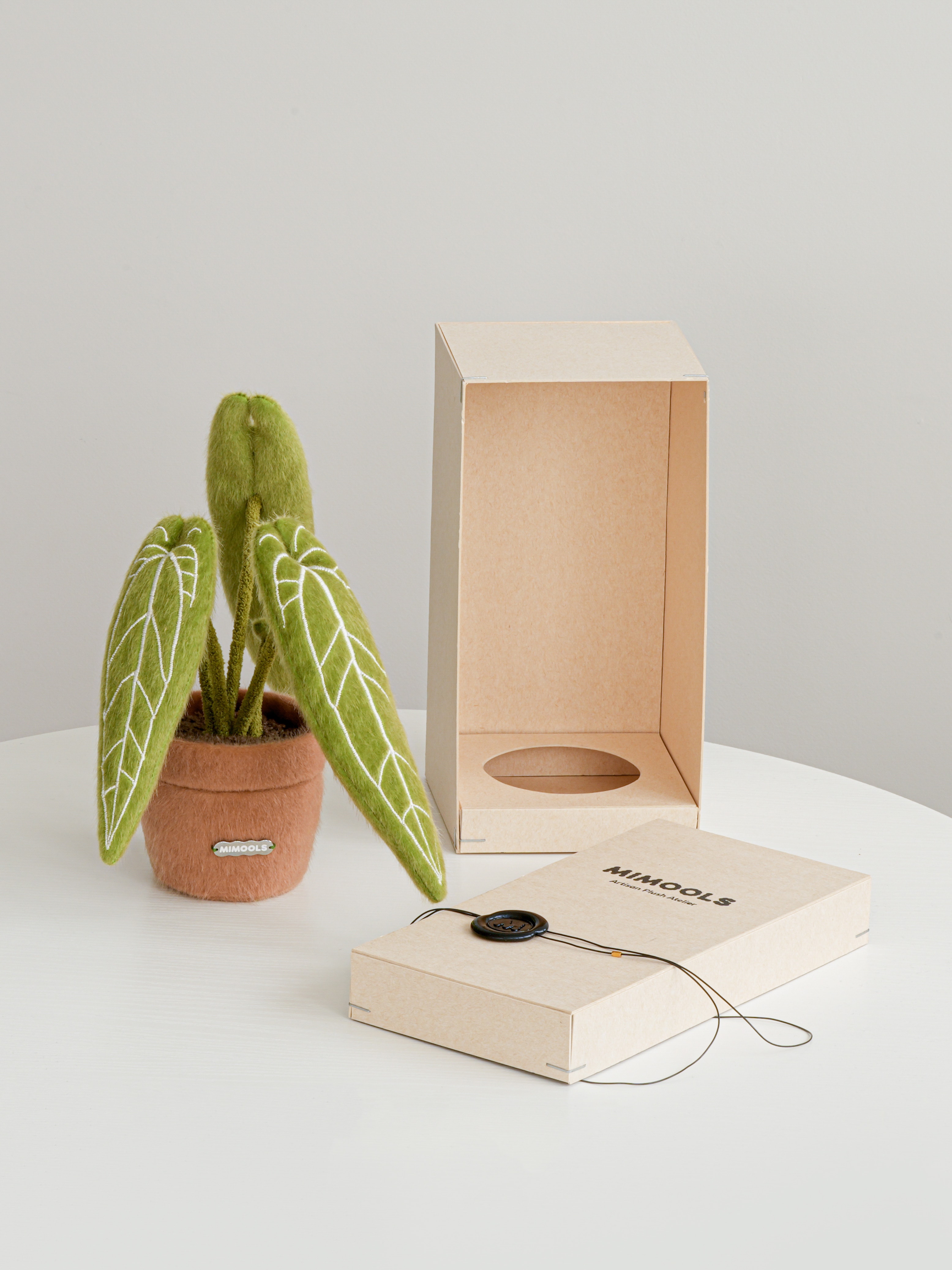 Anthurium Pot