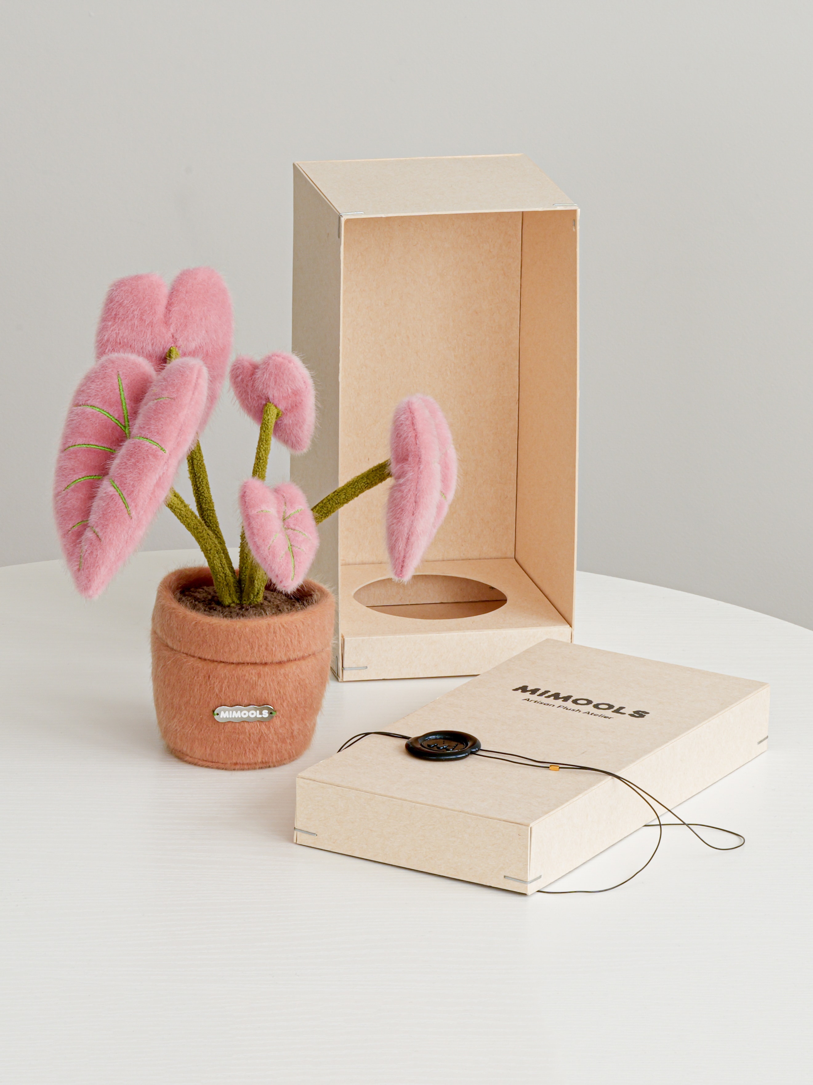 Pink Caladium Pot