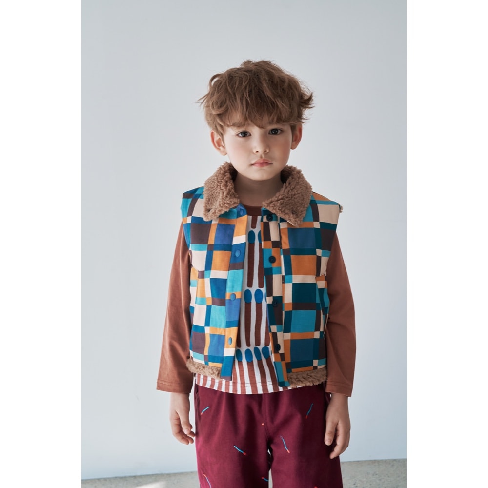 CHECK REVERSIBLE VEST