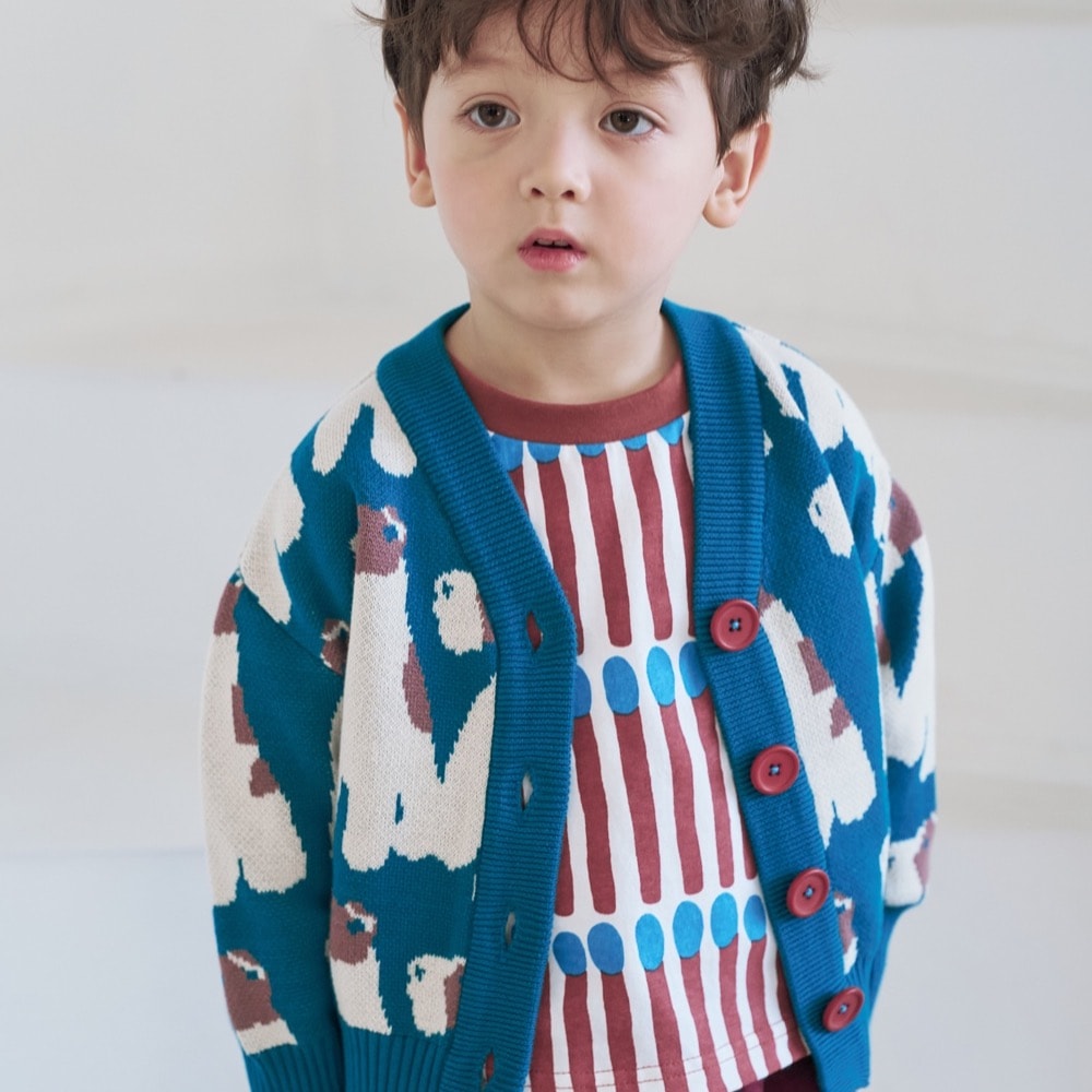 FOX TERRIOR CARDI