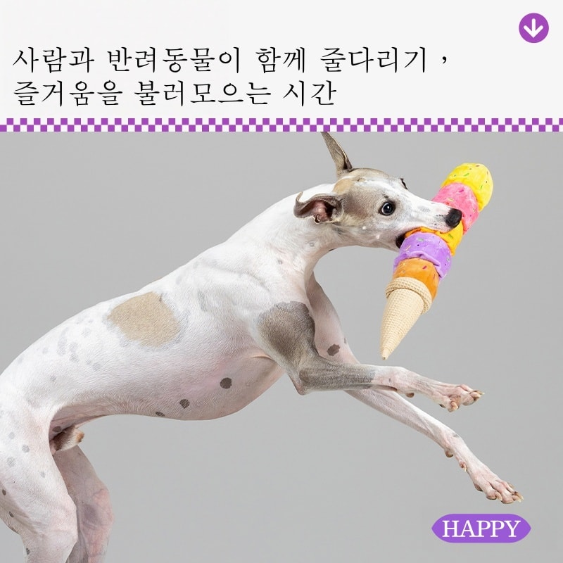 Mongpet 컬러풀 아이스크림 소리나는 강아지 장난감
