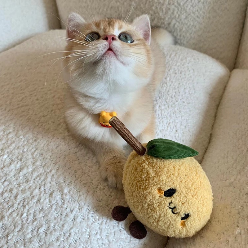 Mongpet  레몬 마따따비 고양이 장난감 | 씹기용 · 내구성 좋음 · 교체형 · 혼자 놀기