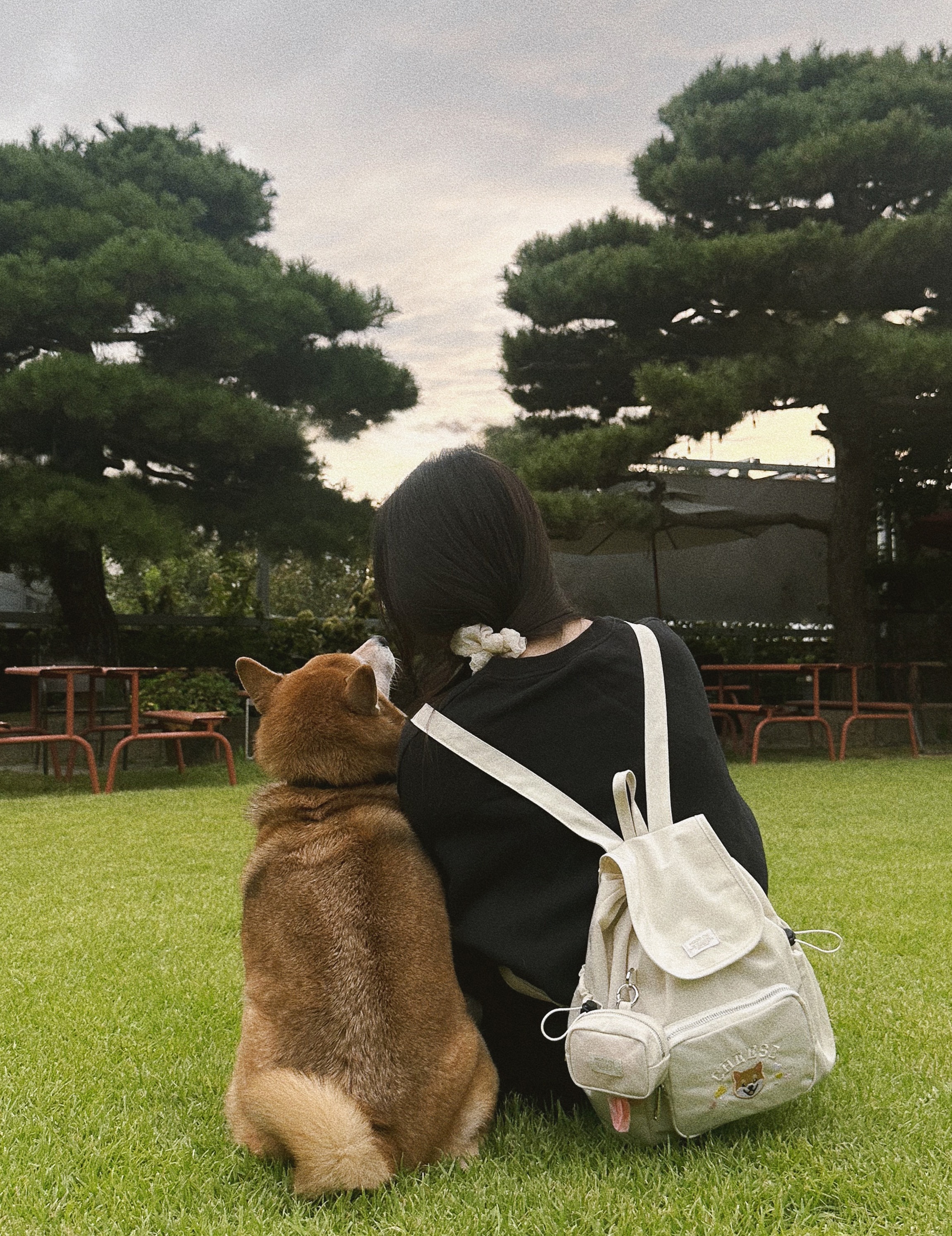 WITH BAG_ new. butter cream