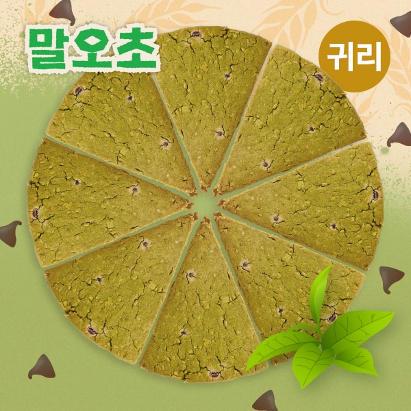 [할인]말차오트초코칩스콘 8일 플랜