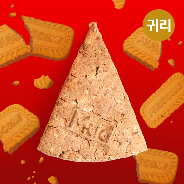 머투스스콘