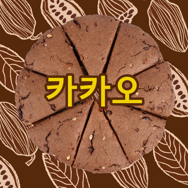 [할인]카카오스콘 8일 플랜
