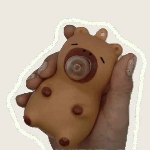 [1+1] 카피바라 말랑이