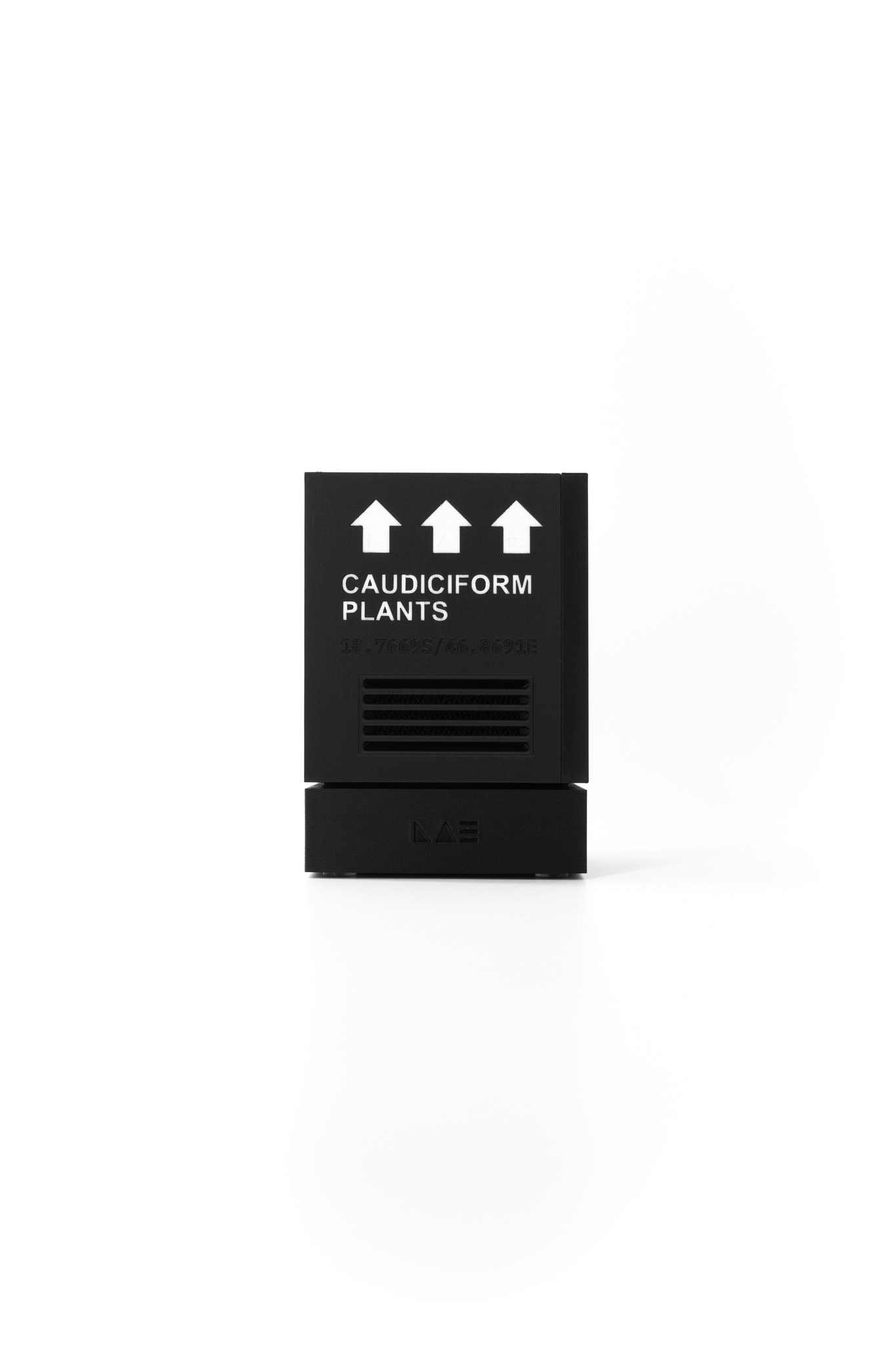 QUAD Pot Launch Edition - Caudiciform Plants