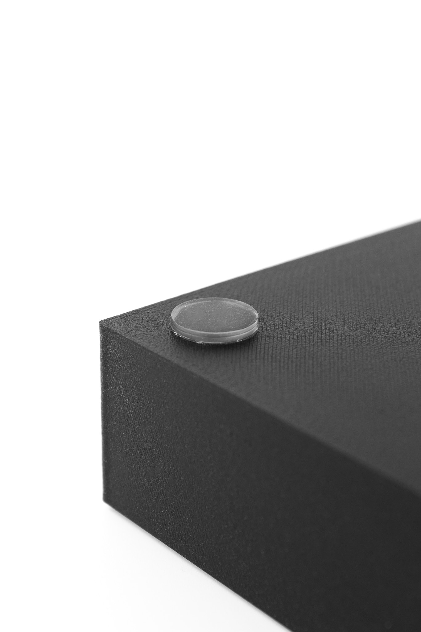 QUAD Pot Launch Edition - Caudiciform Plants