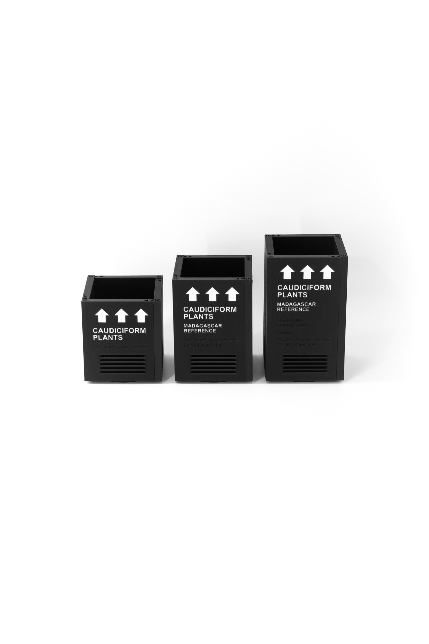 QUAD Pot Launch Edition - Caudiciform Plants