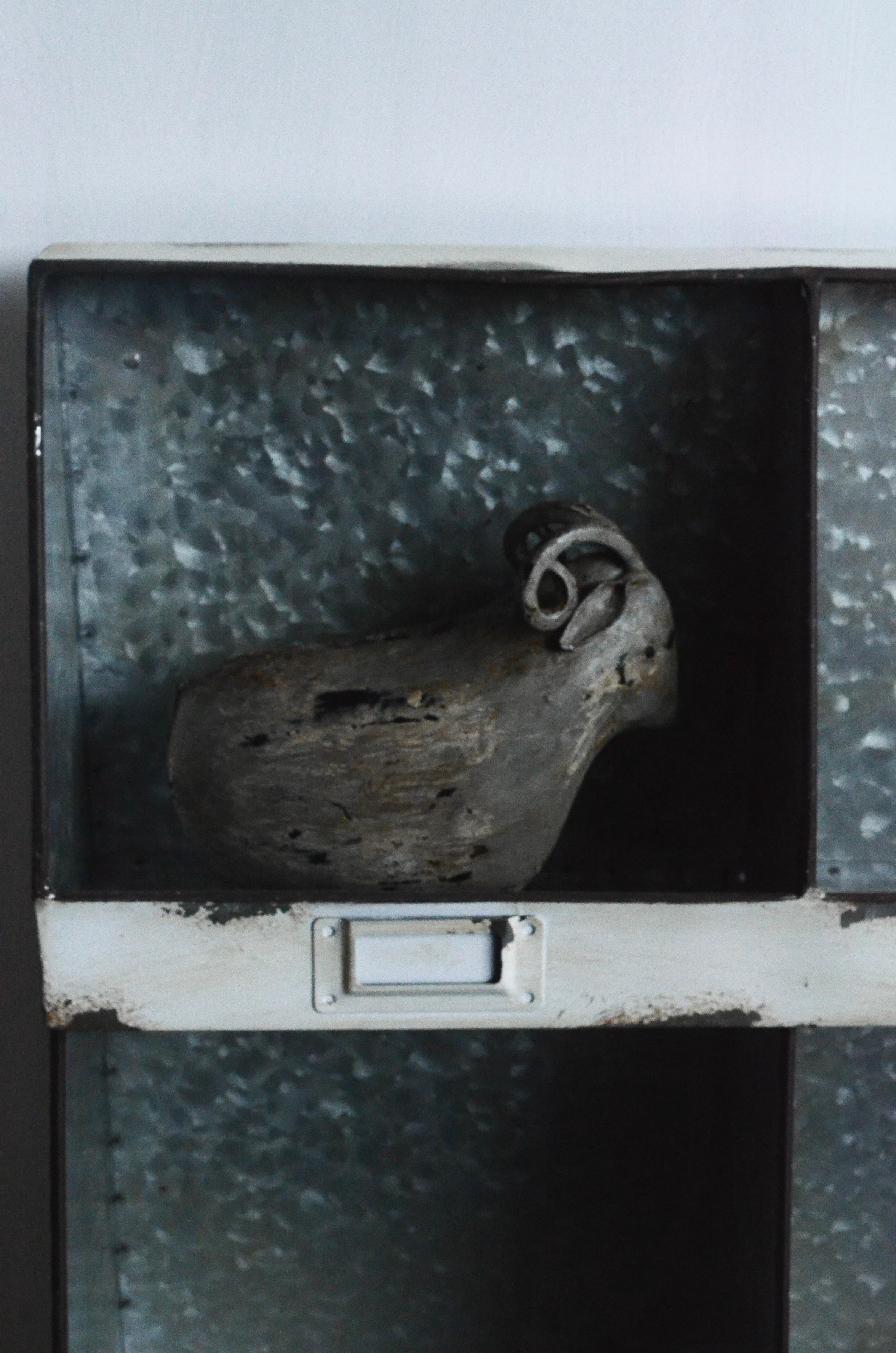 goat piggy bank