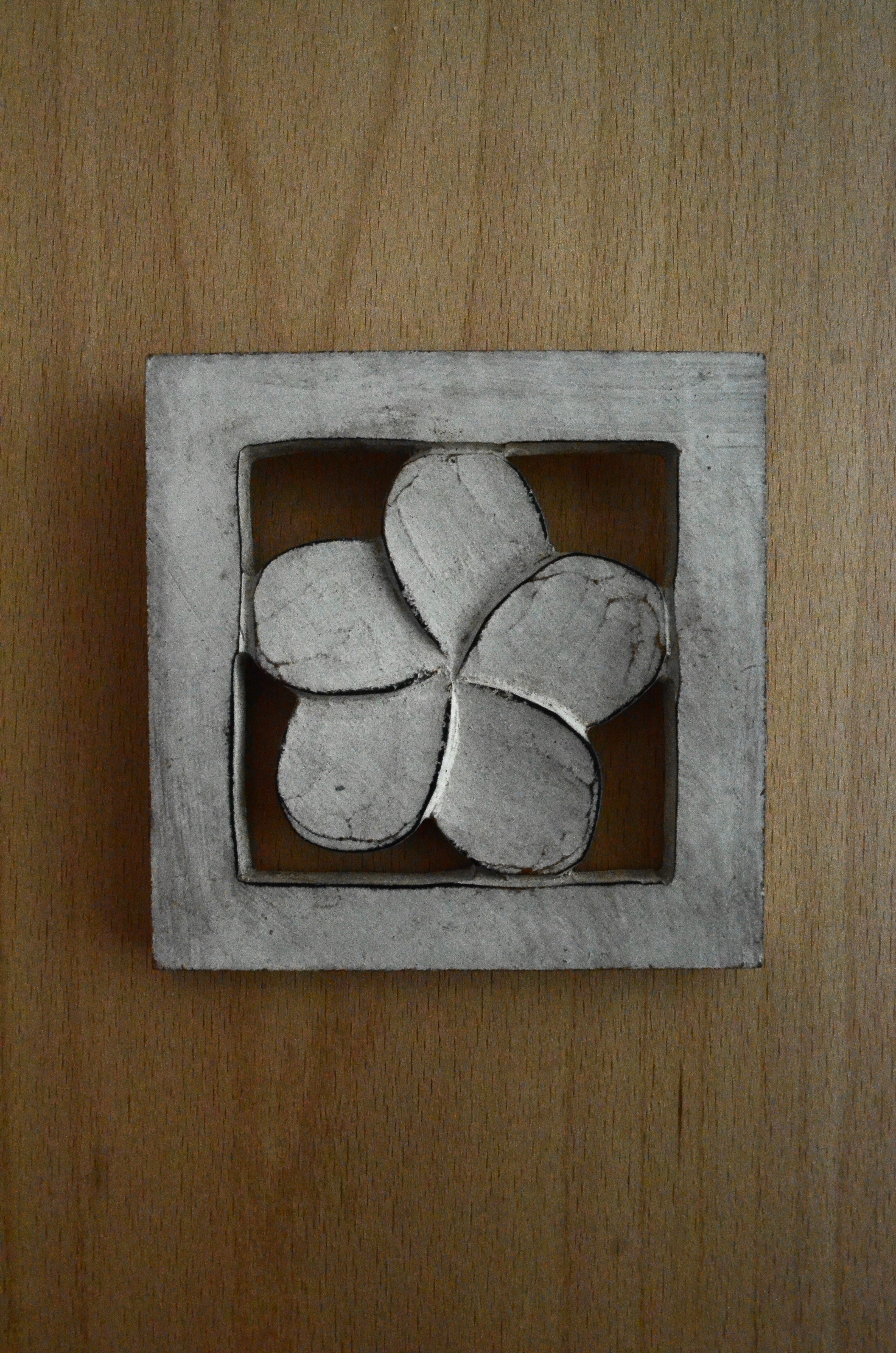 Plumeria frame