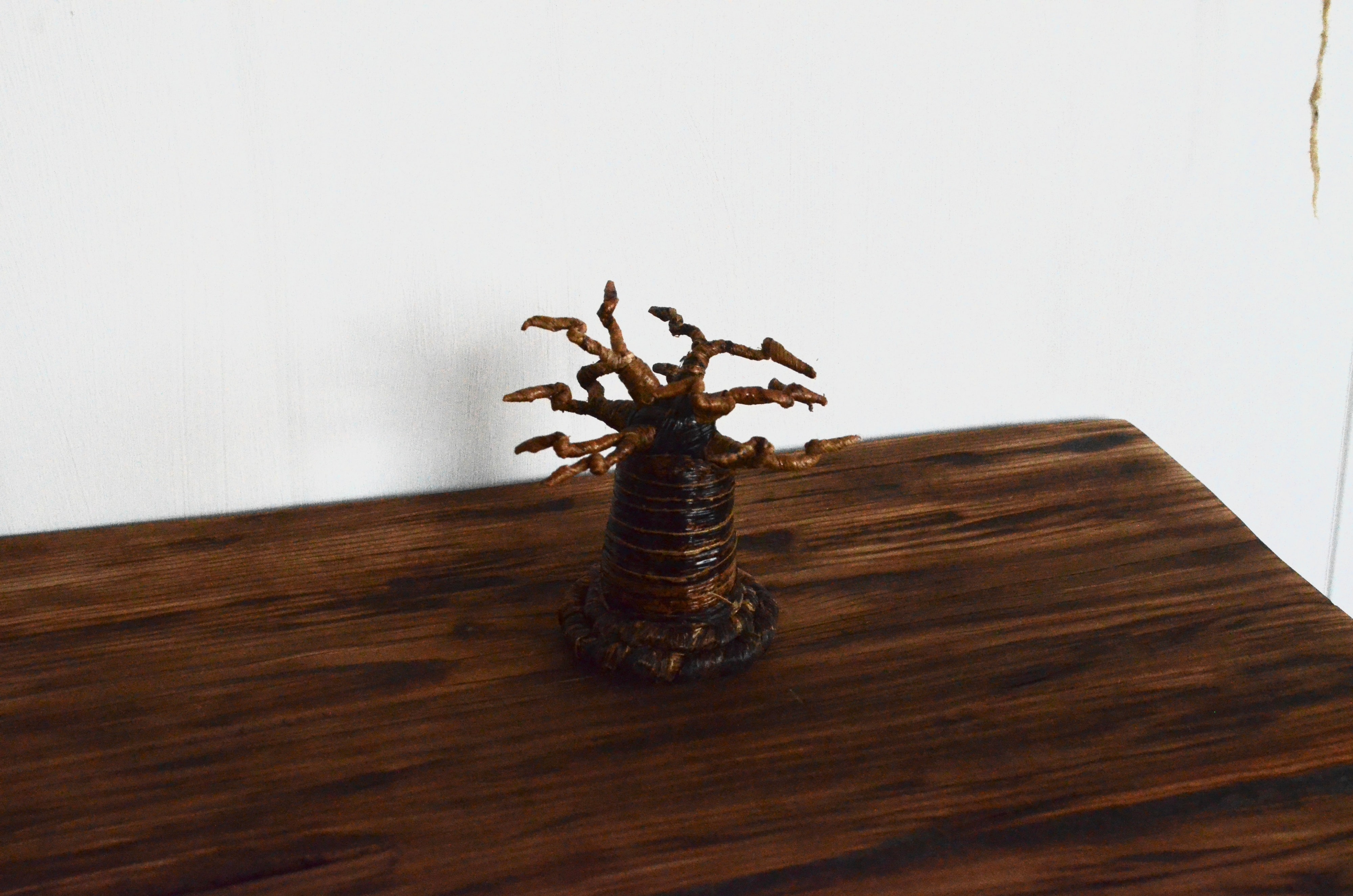 Baobab Tree Organizer (3s)