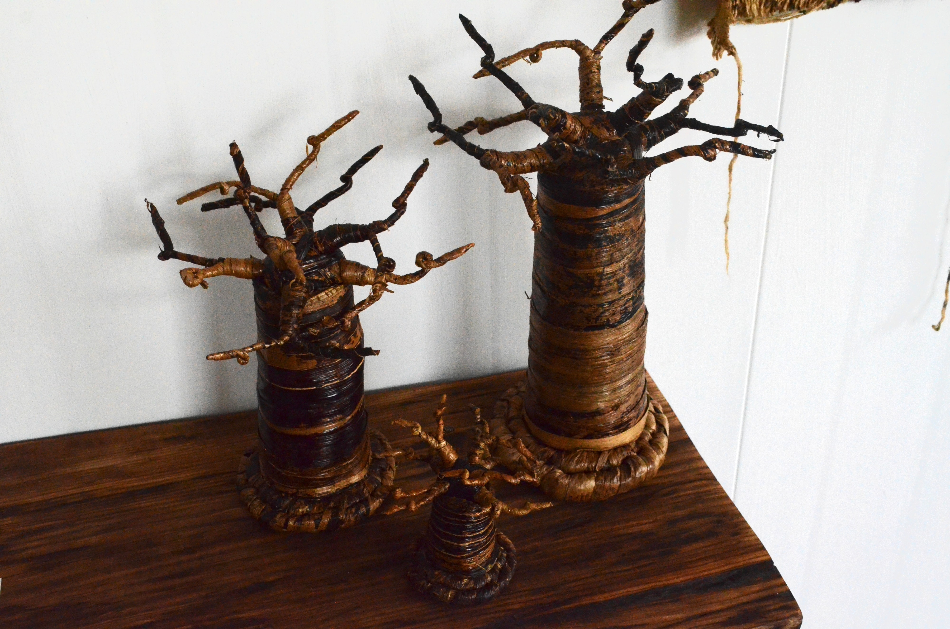 Baobab Tree Organizer (3s)