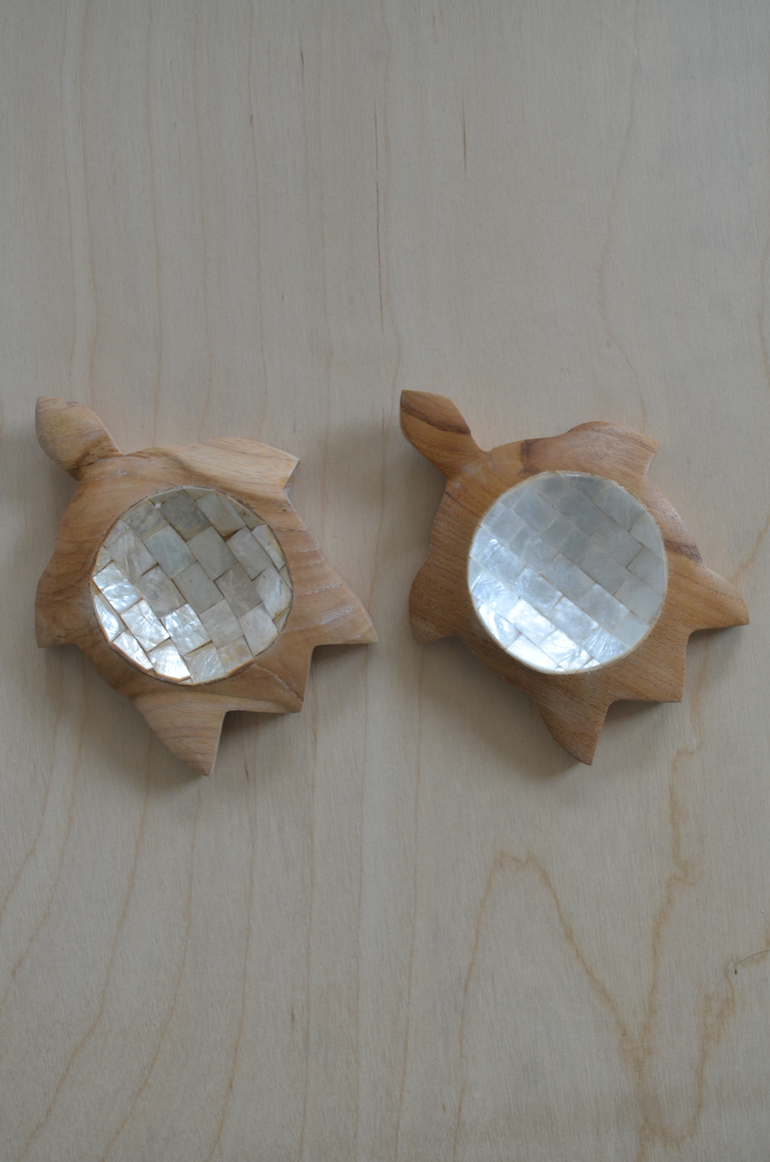 turtle teakwood