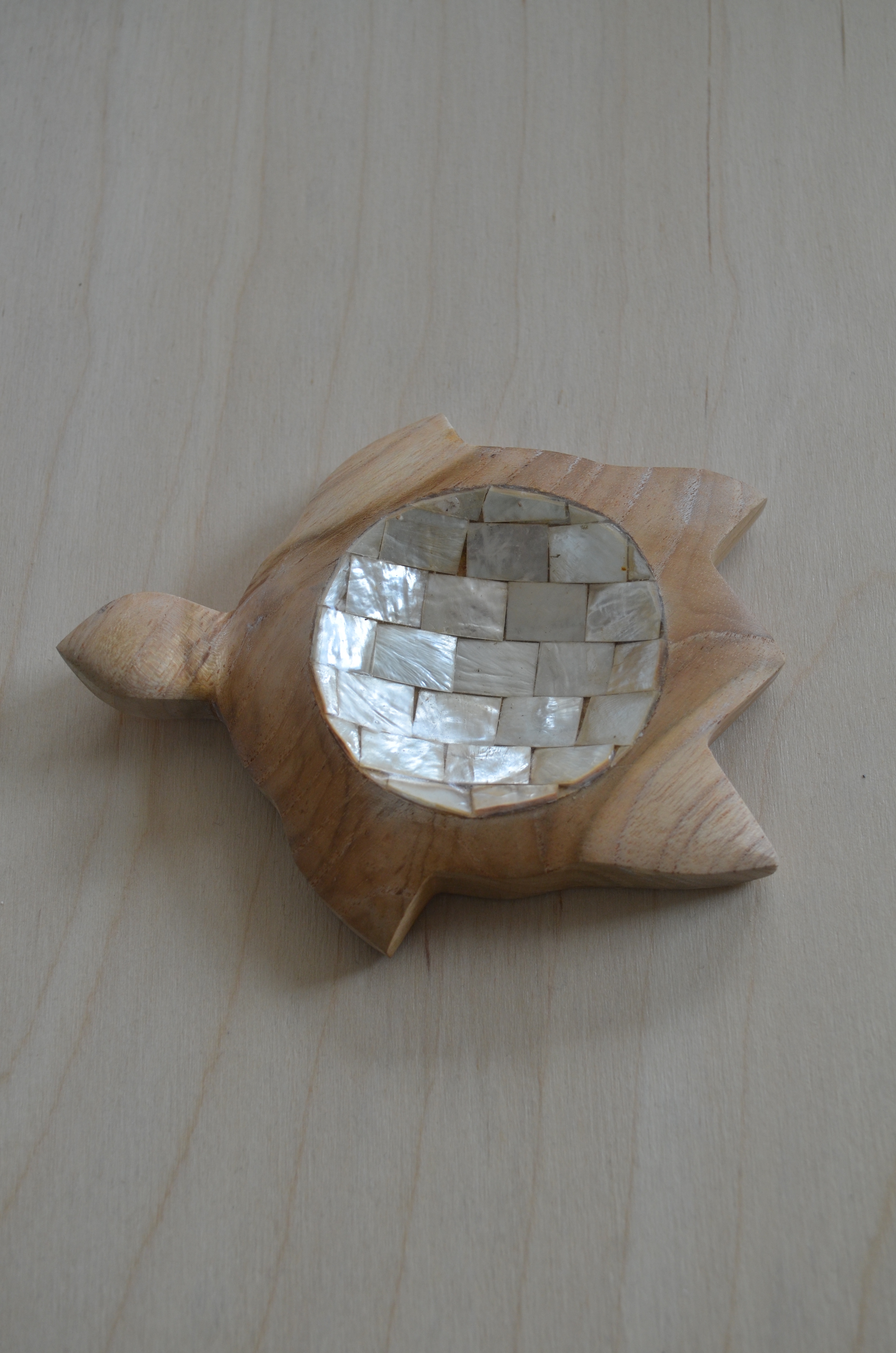 turtle teakwood