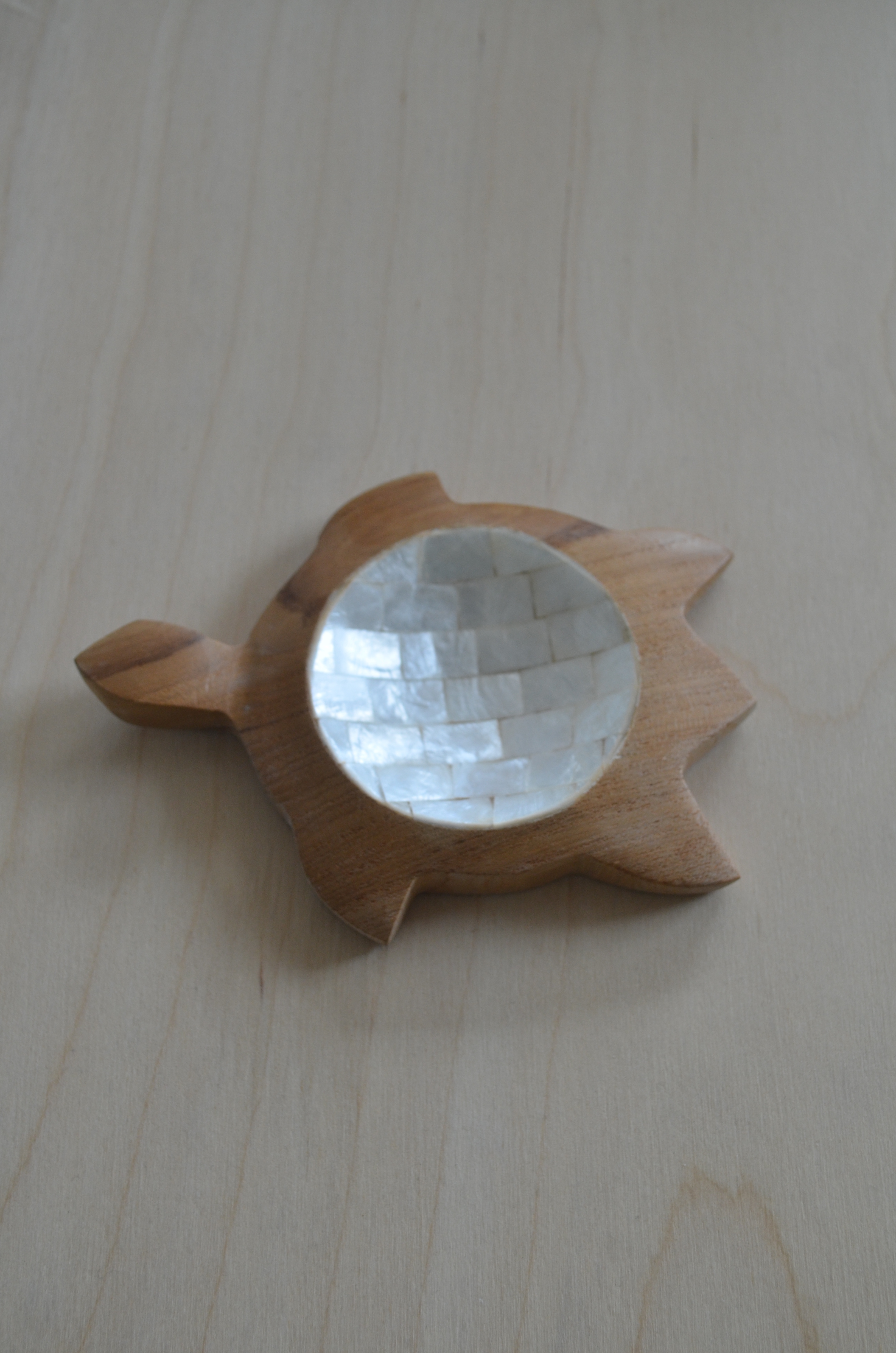 turtle teakwood