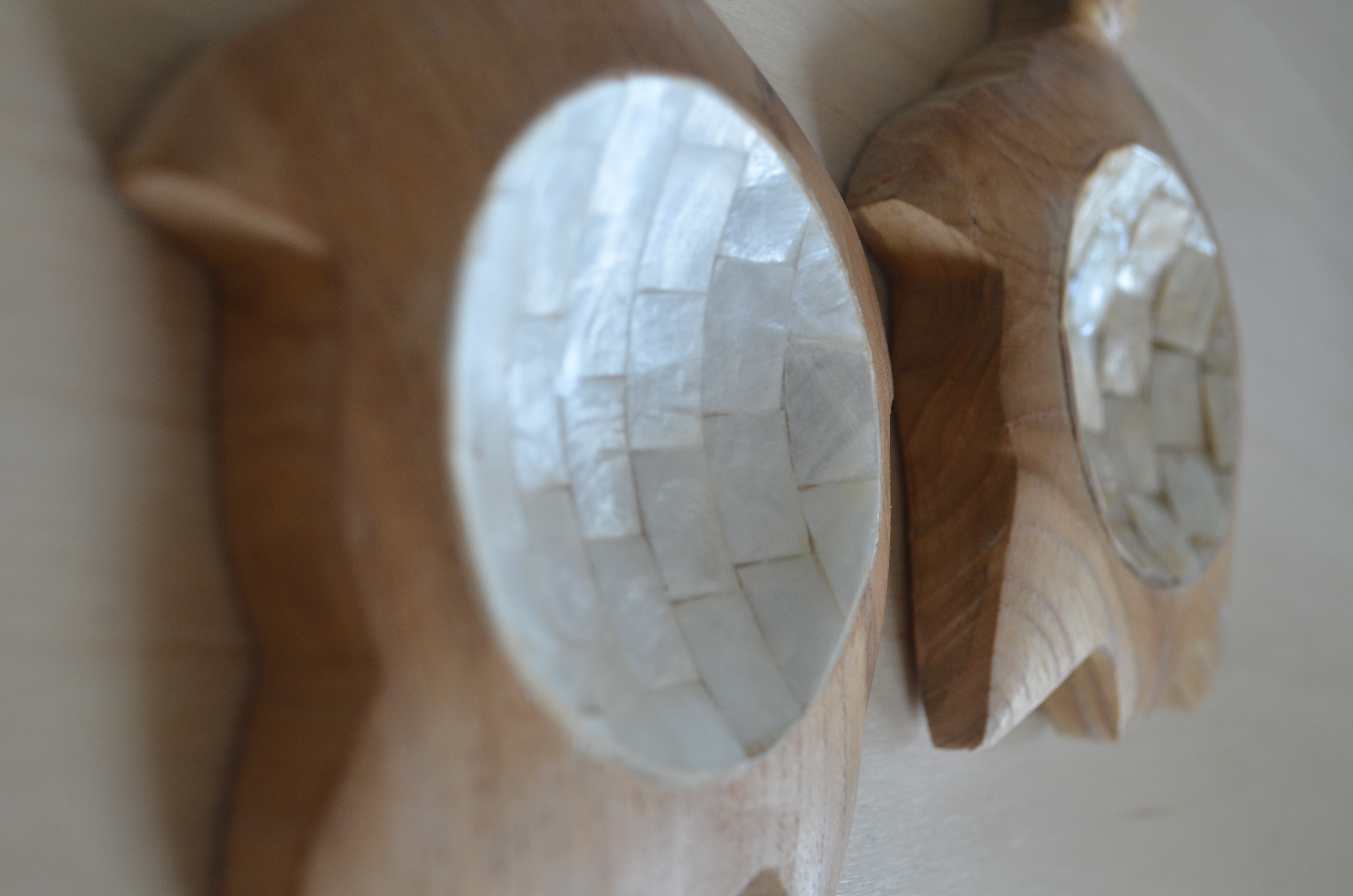 turtle teakwood