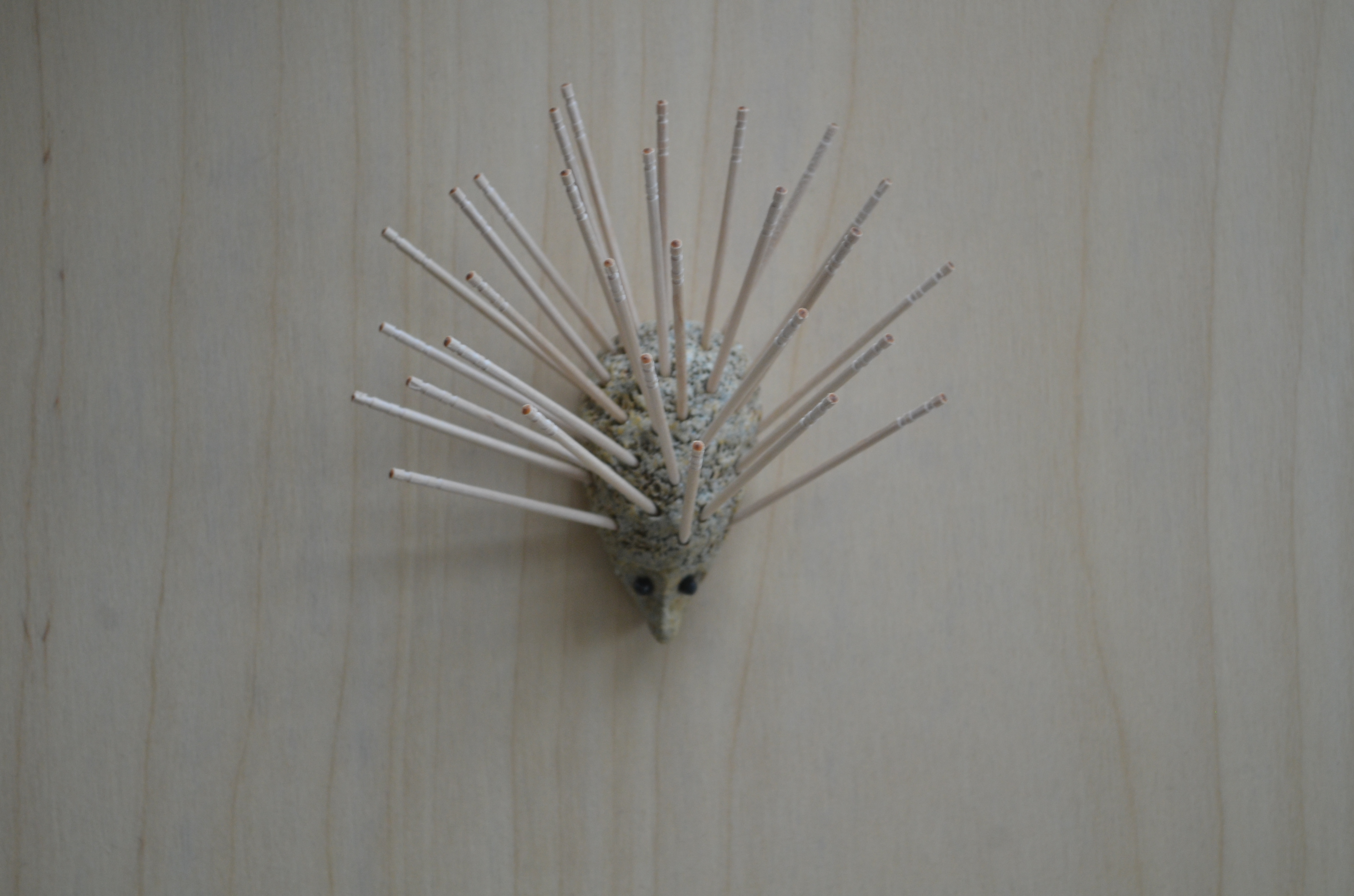 dochi holder