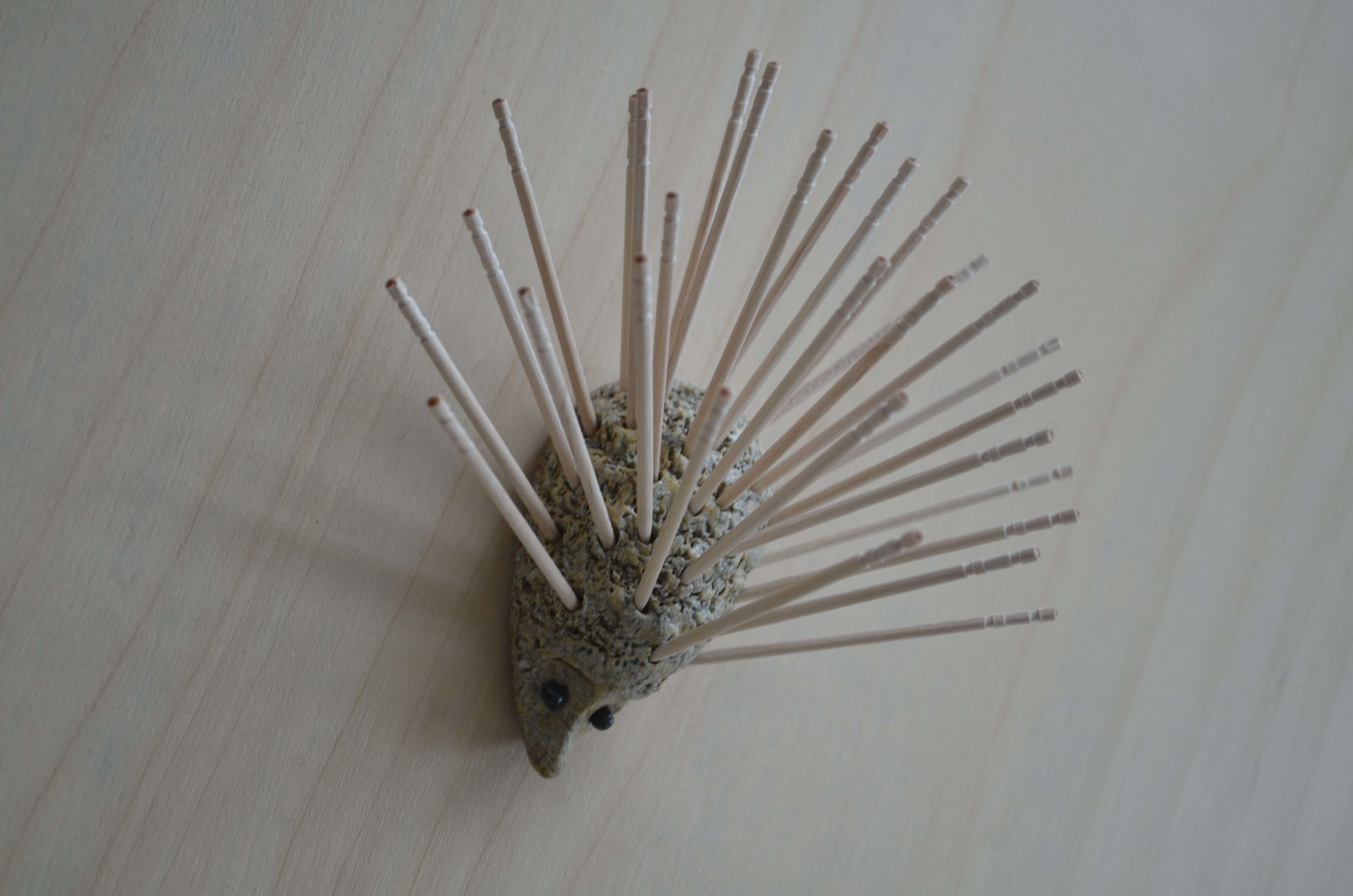 dochi holder