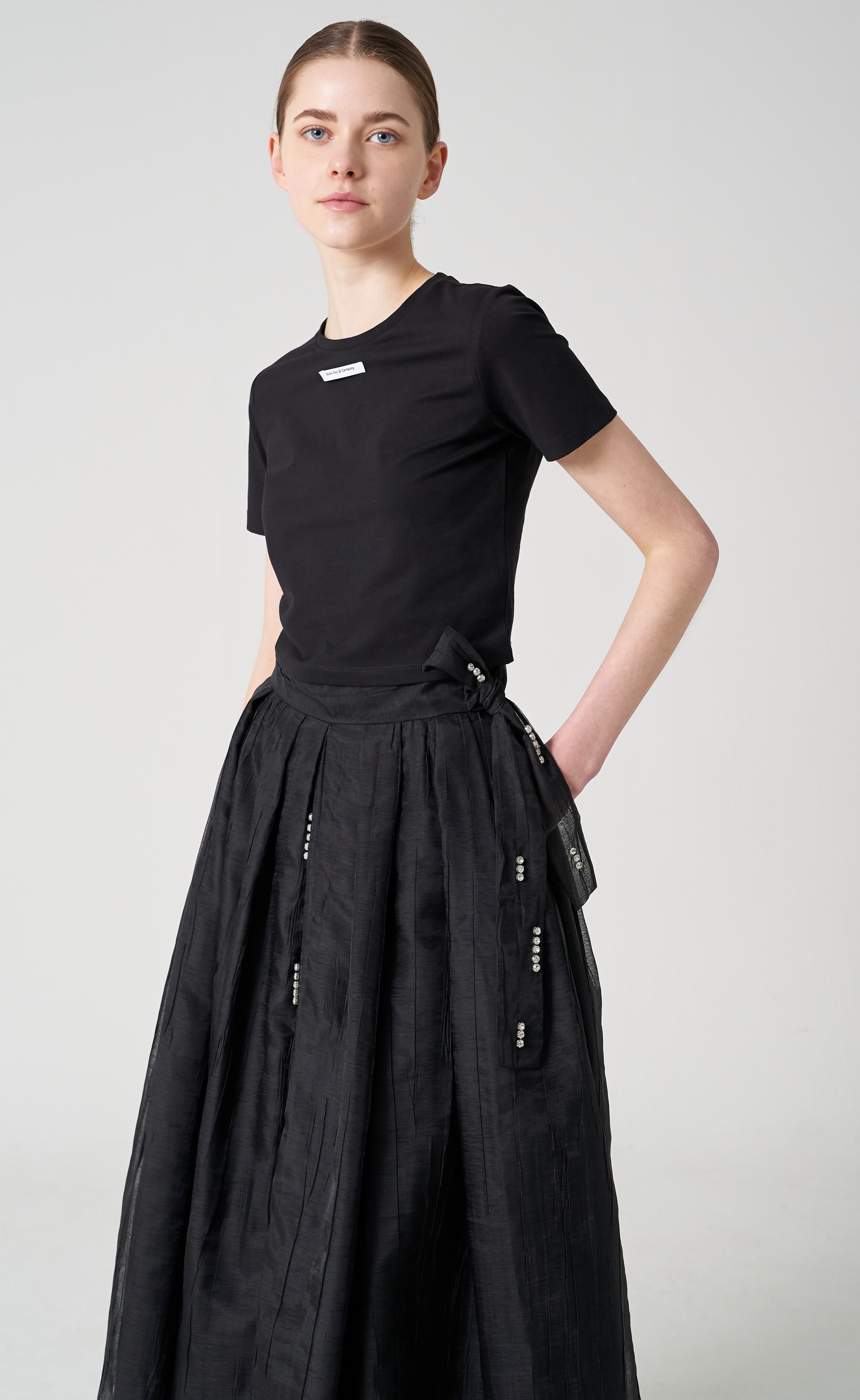 Embroidered organza full pleated midi-skirt