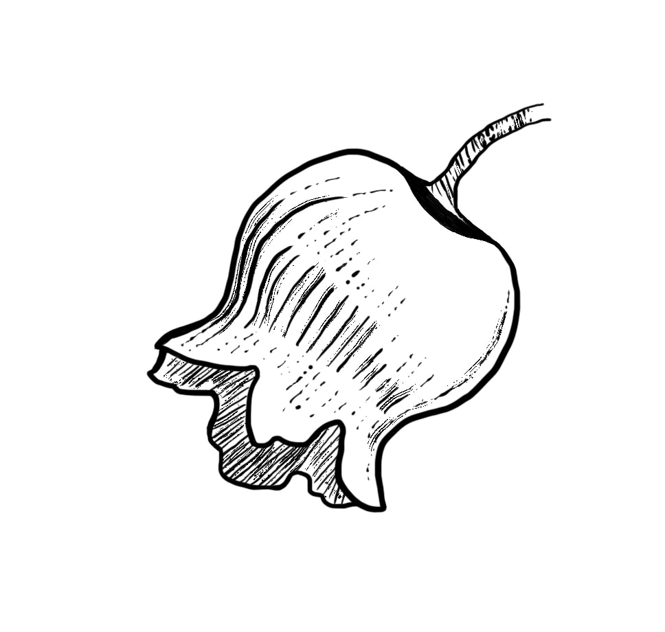 테스트2