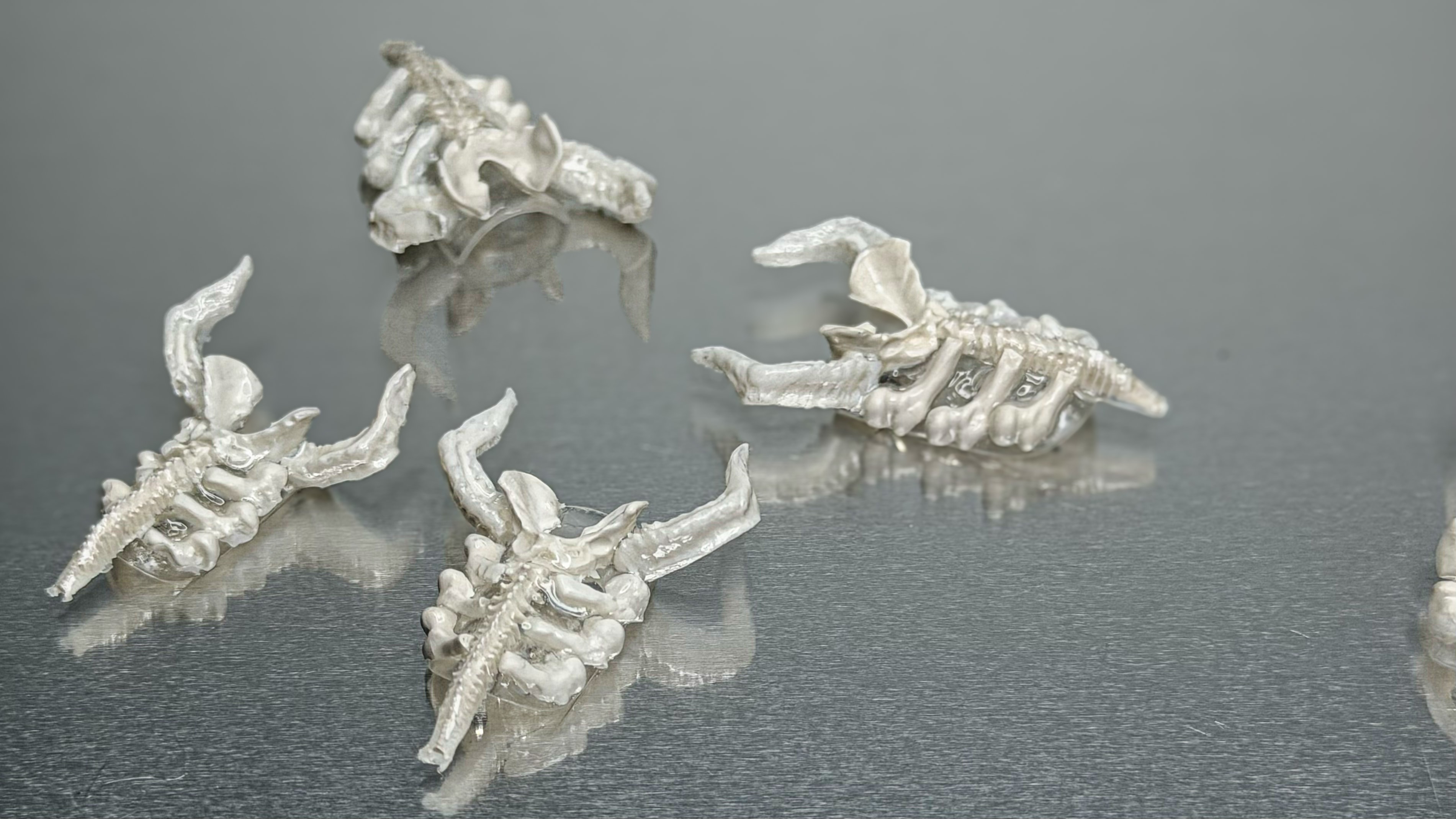 bone