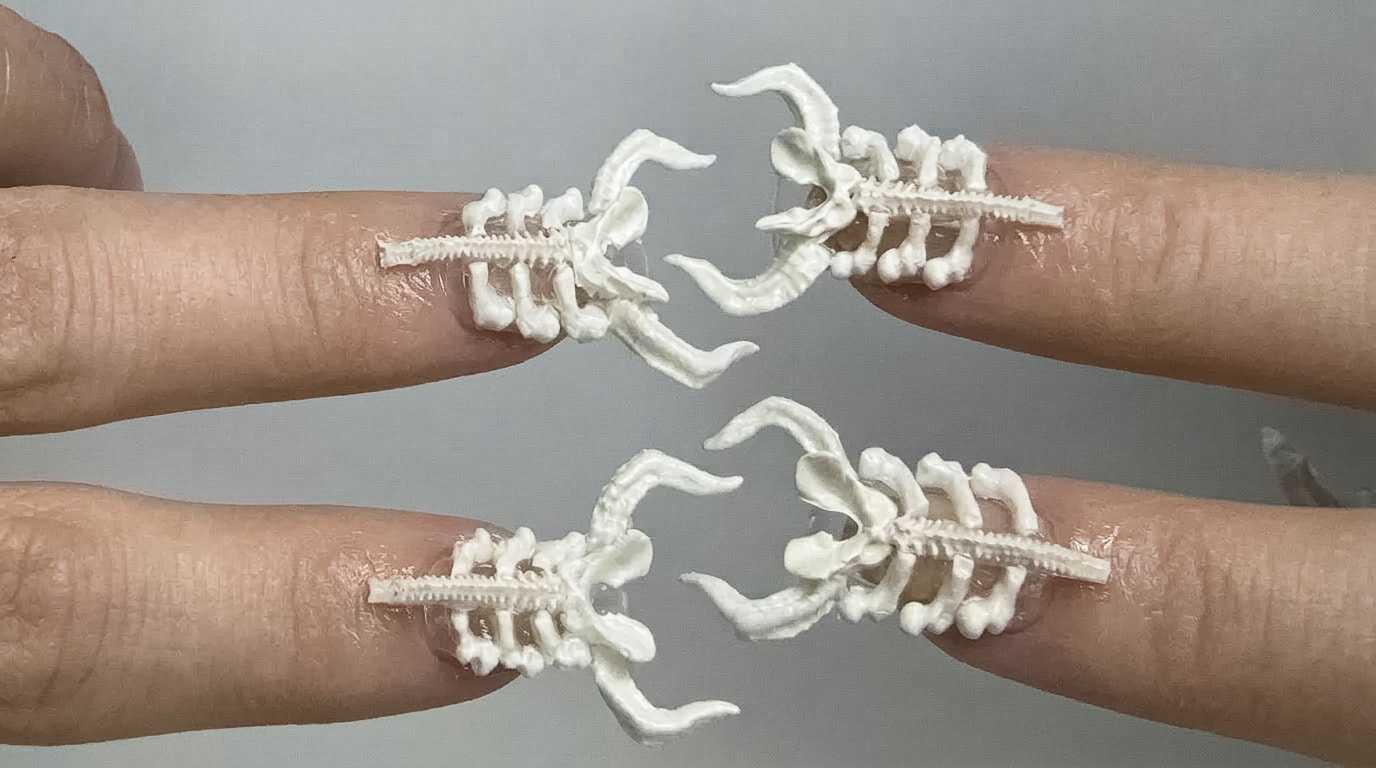 bone
