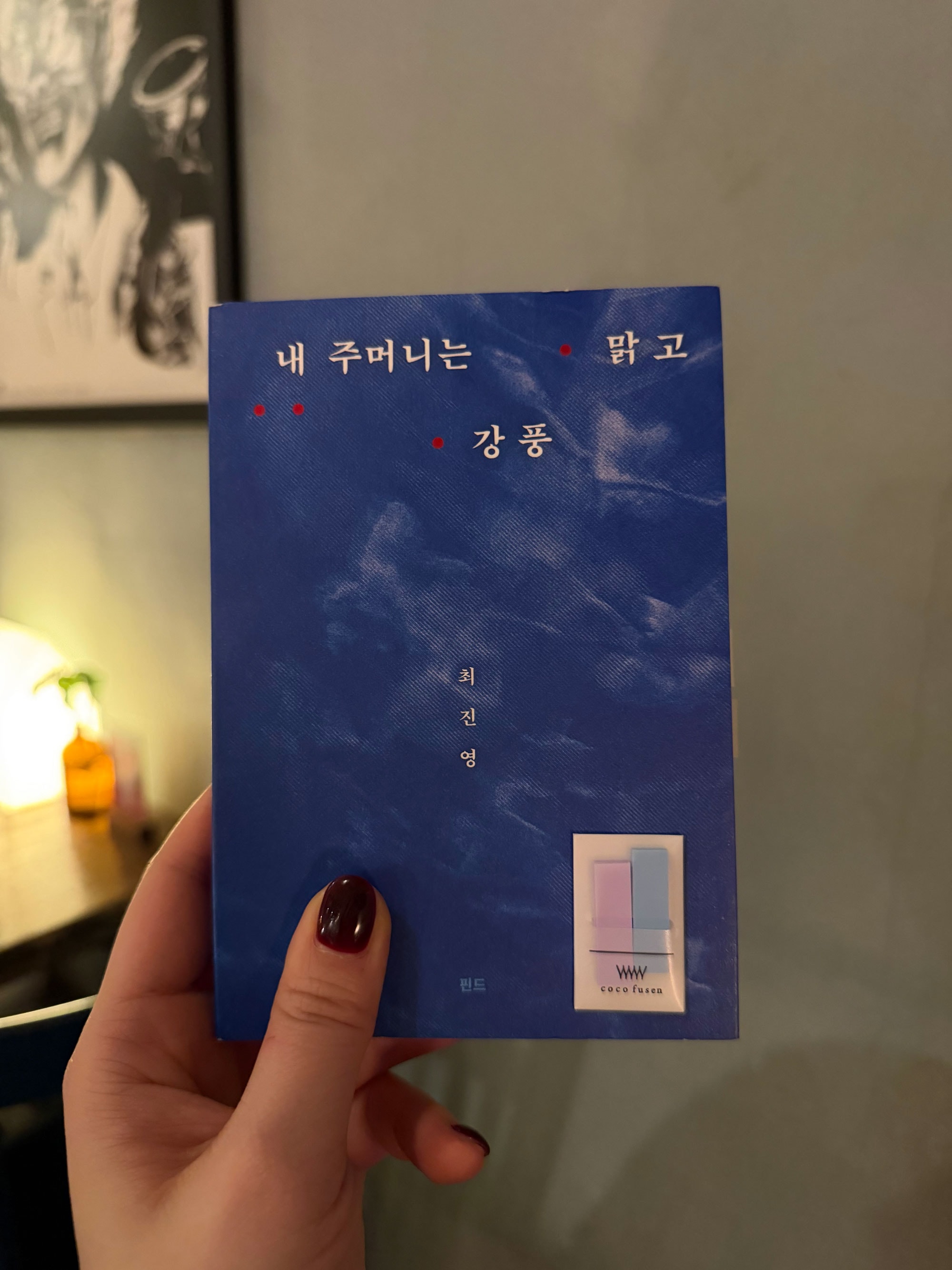 강미당 코코인덱스 미니 (5colors)