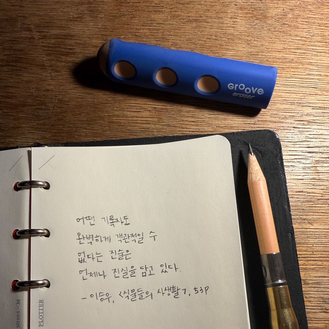 리라 그루브 점보 지우개
