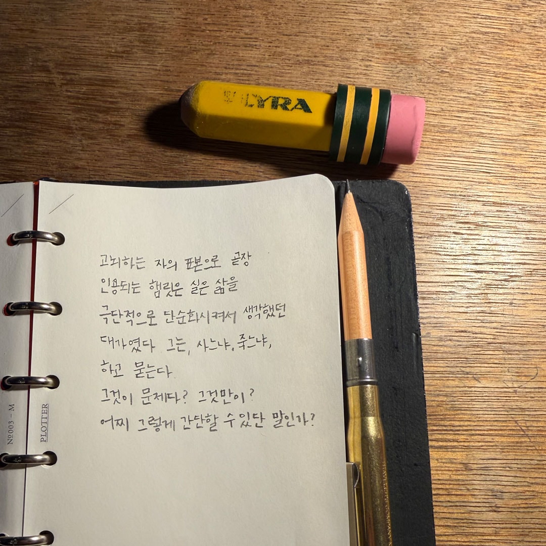 리라 테마그라프 점보지우개