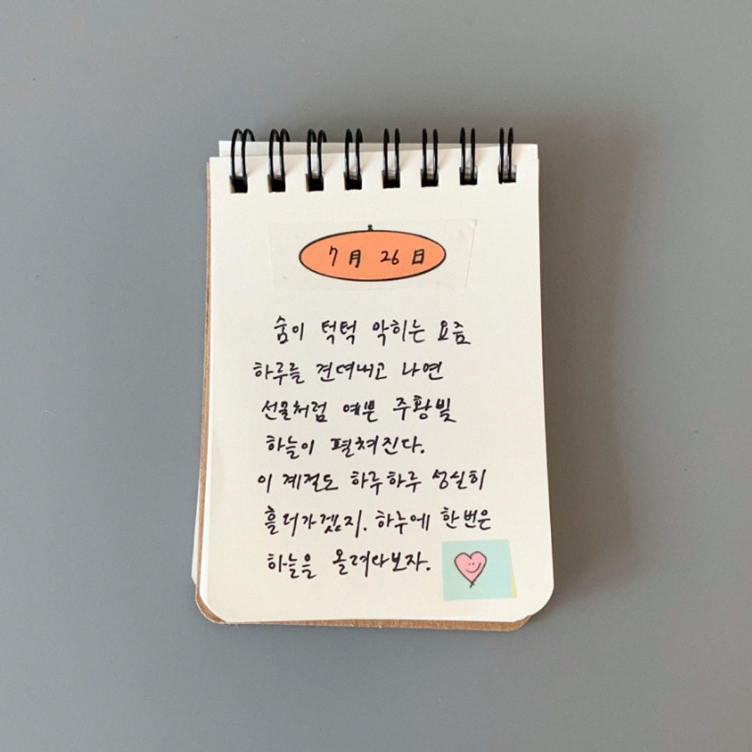 [라잇요라이프]날짜마스킹