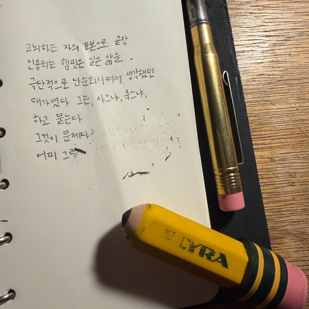 리라 테마그라프 점보지우개
