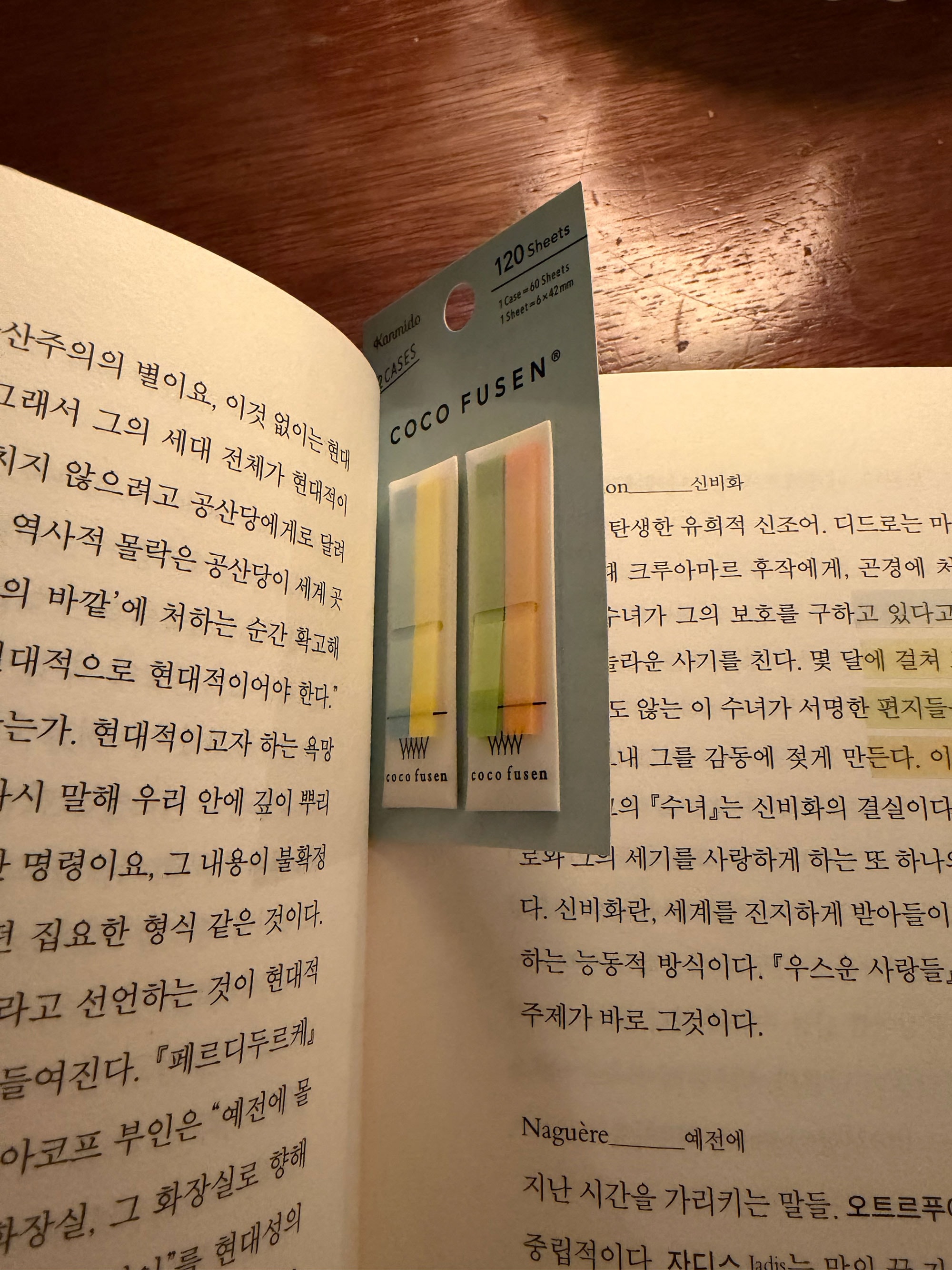 강미당 코코인덱스 슬림 (그리너리)