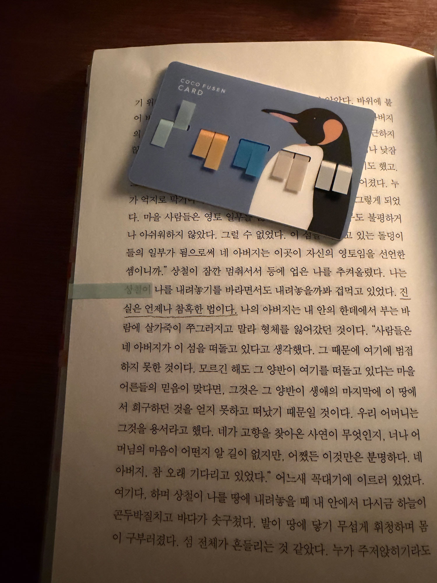 강미당 코코인덱스 카드 (2 types)