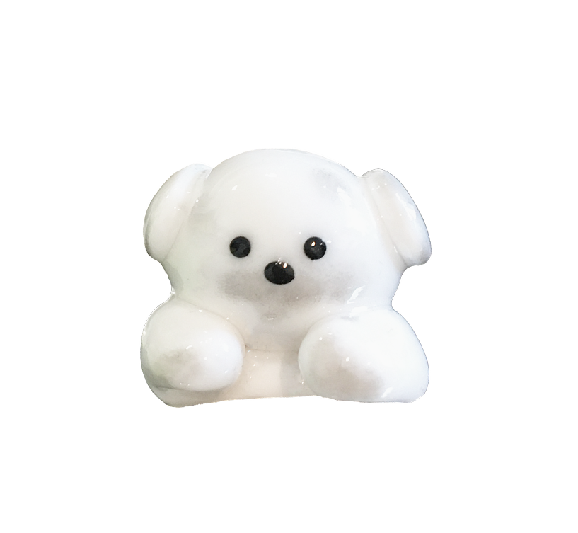 꼬질 강아지 히퍼