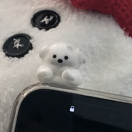 꼬질 강아지 히퍼
