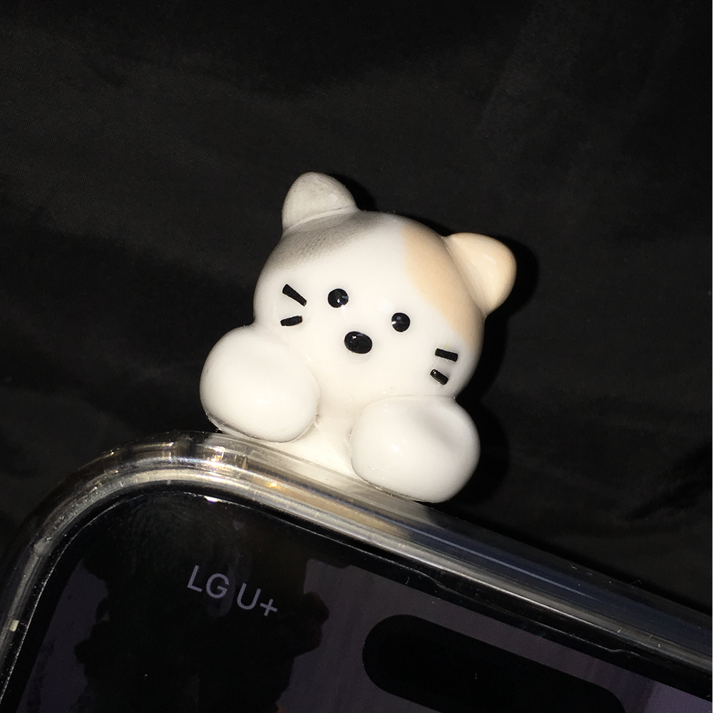 삼색고양이 히퍼