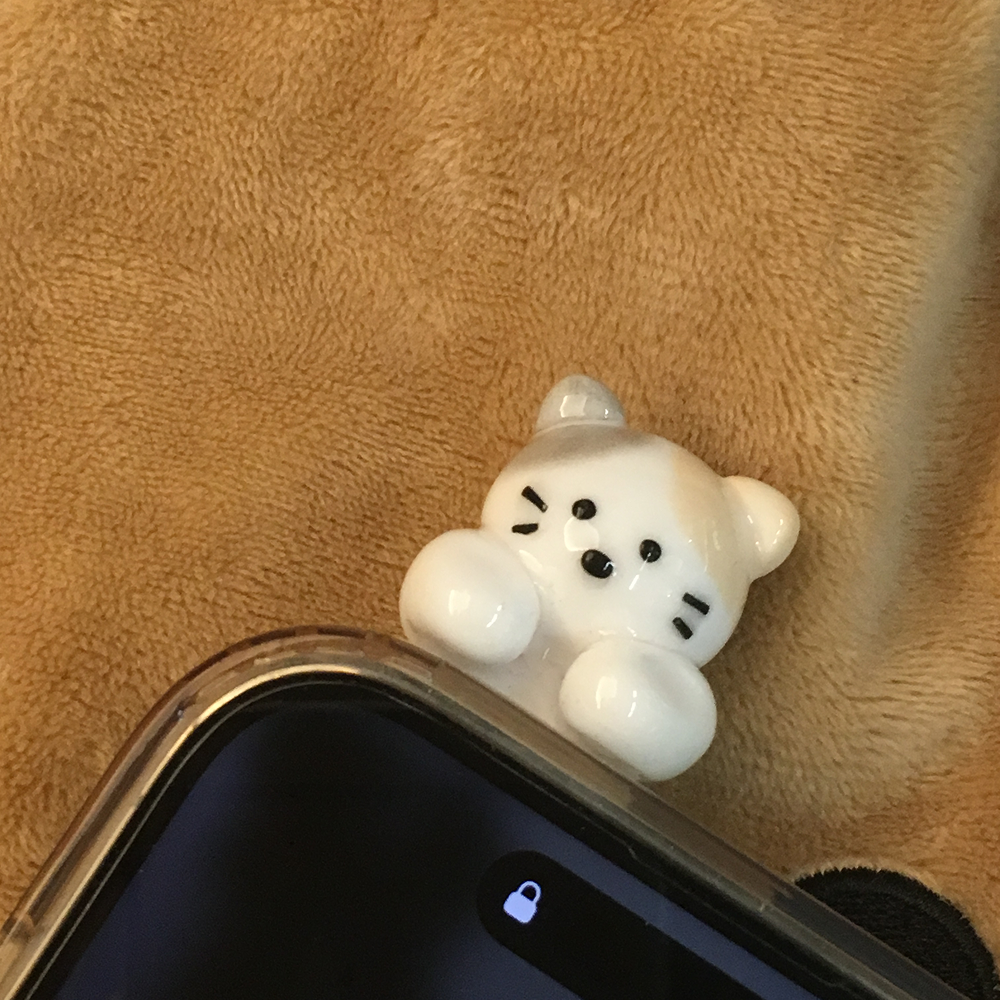 삼색고양이 히퍼