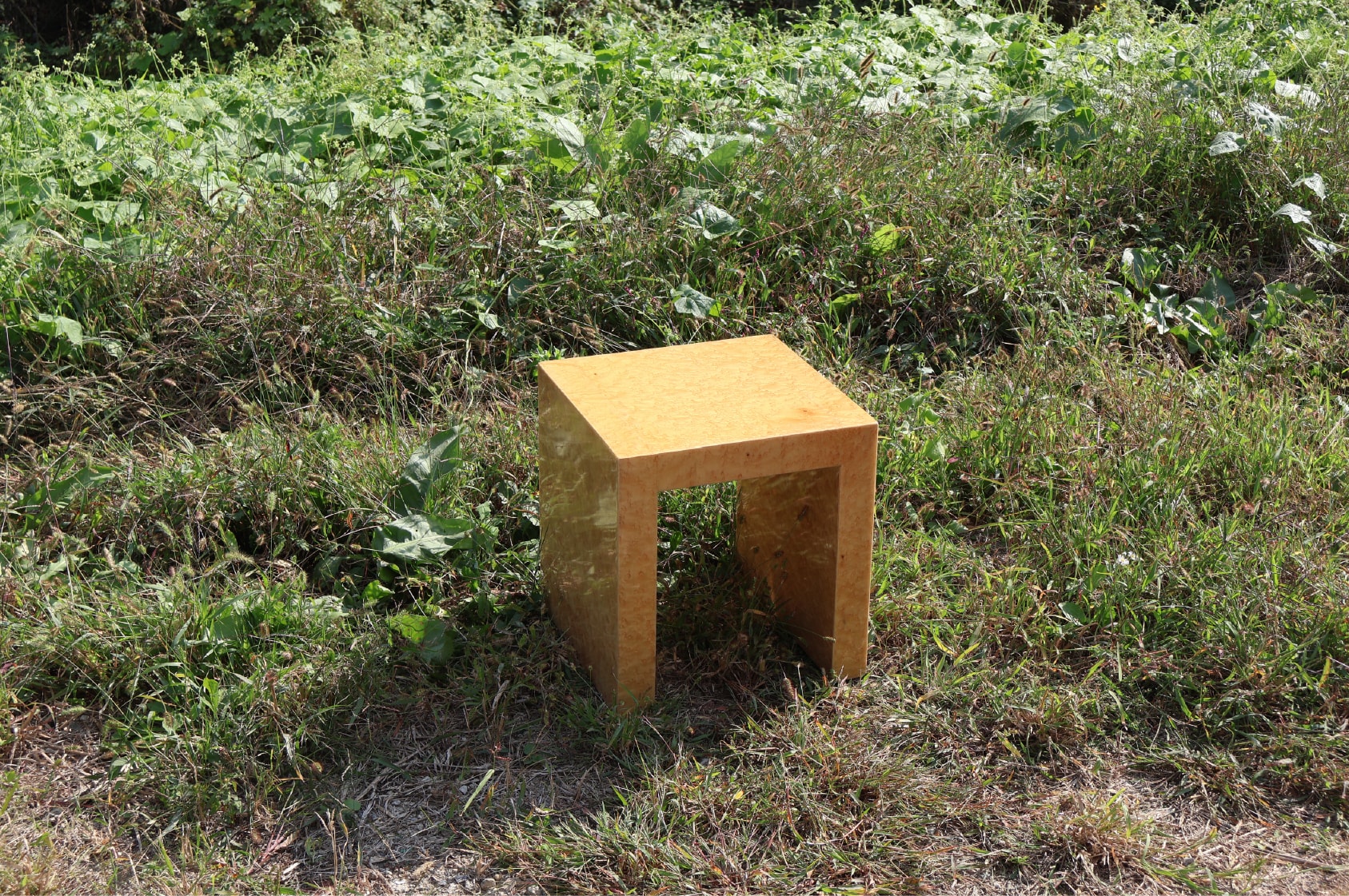 Burl stool