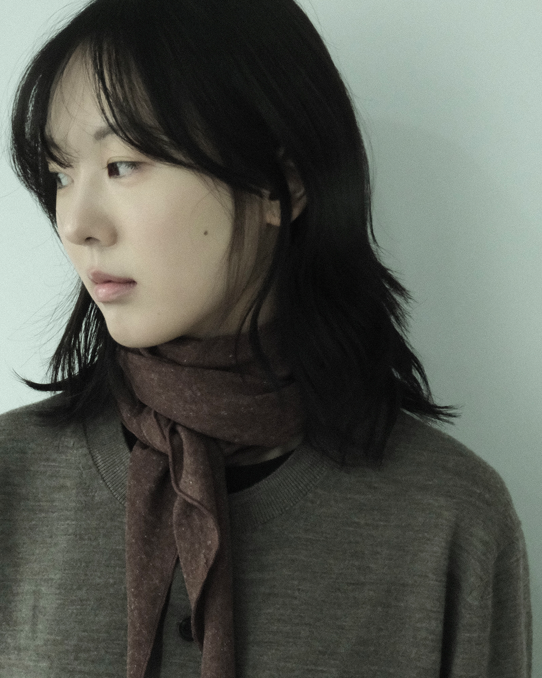 Soft Scarf, Brown