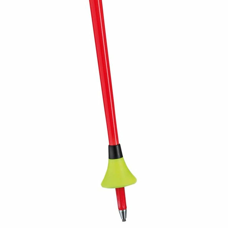 2526 LEKI WCR TBS GS 3D