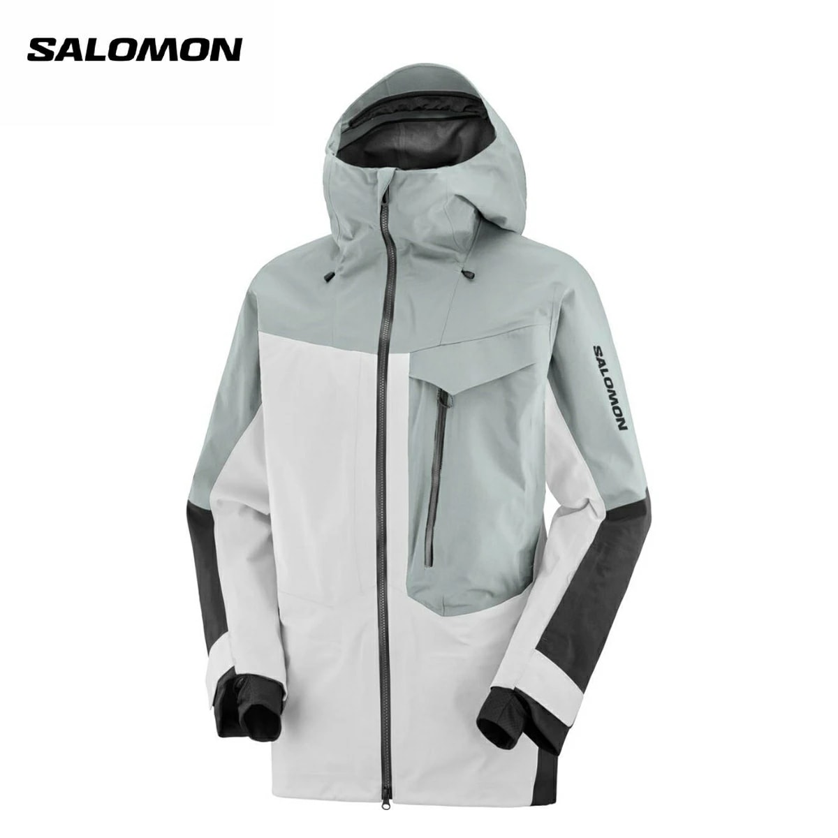 2425 SALOMON MOON PATROL GORETEX JKT W