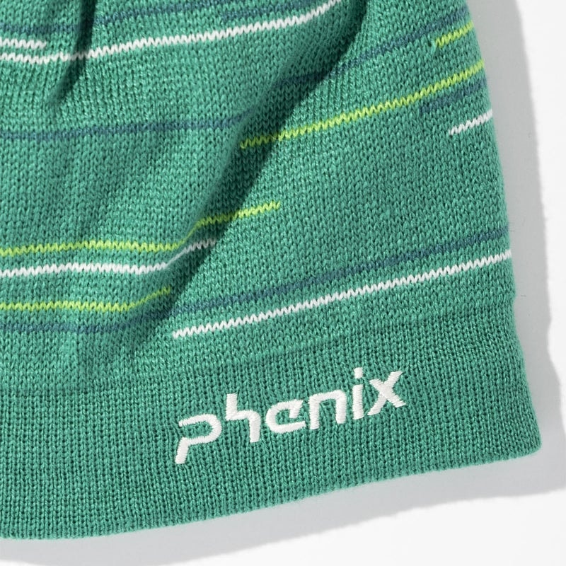 2627 PHENIX Random Border Knit Beanie / ESM26HW14